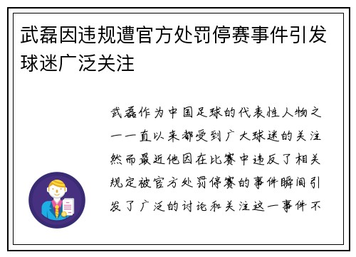 武磊因违规遭官方处罚停赛事件引发球迷广泛关注 武磊因违规遭官方处罚停赛事件引发球迷广泛关注